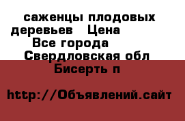 саженцы плодовых деревьев › Цена ­ 6 080 - Все города  »    . Свердловская обл.,Бисерть п.